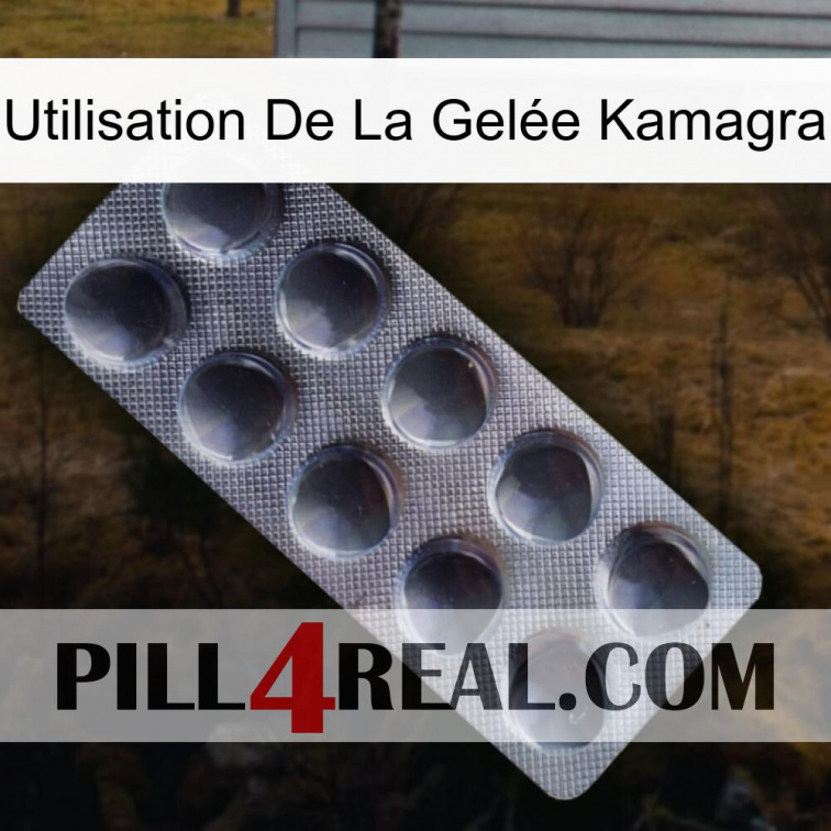 Utilisation De La Gelée Kamagra 30